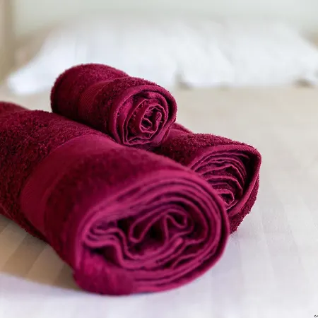 팜스테이 Casa Del Principe 토레 보르미다